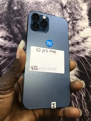 Apple iPhone 12 Pro Max 256 GB Blue