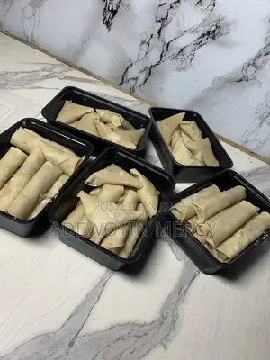 Ready to Fry Samosa and Spring Rolls