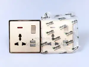 13A Double USB Sockets