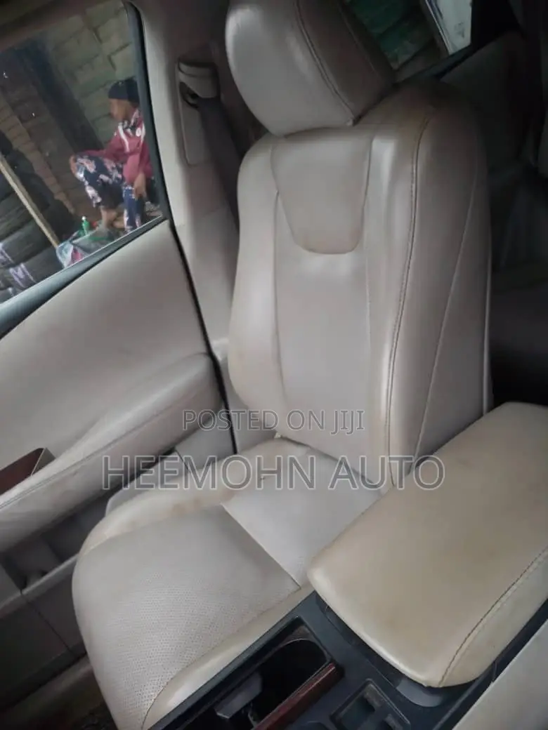 Lexus RX 2010 Blue
