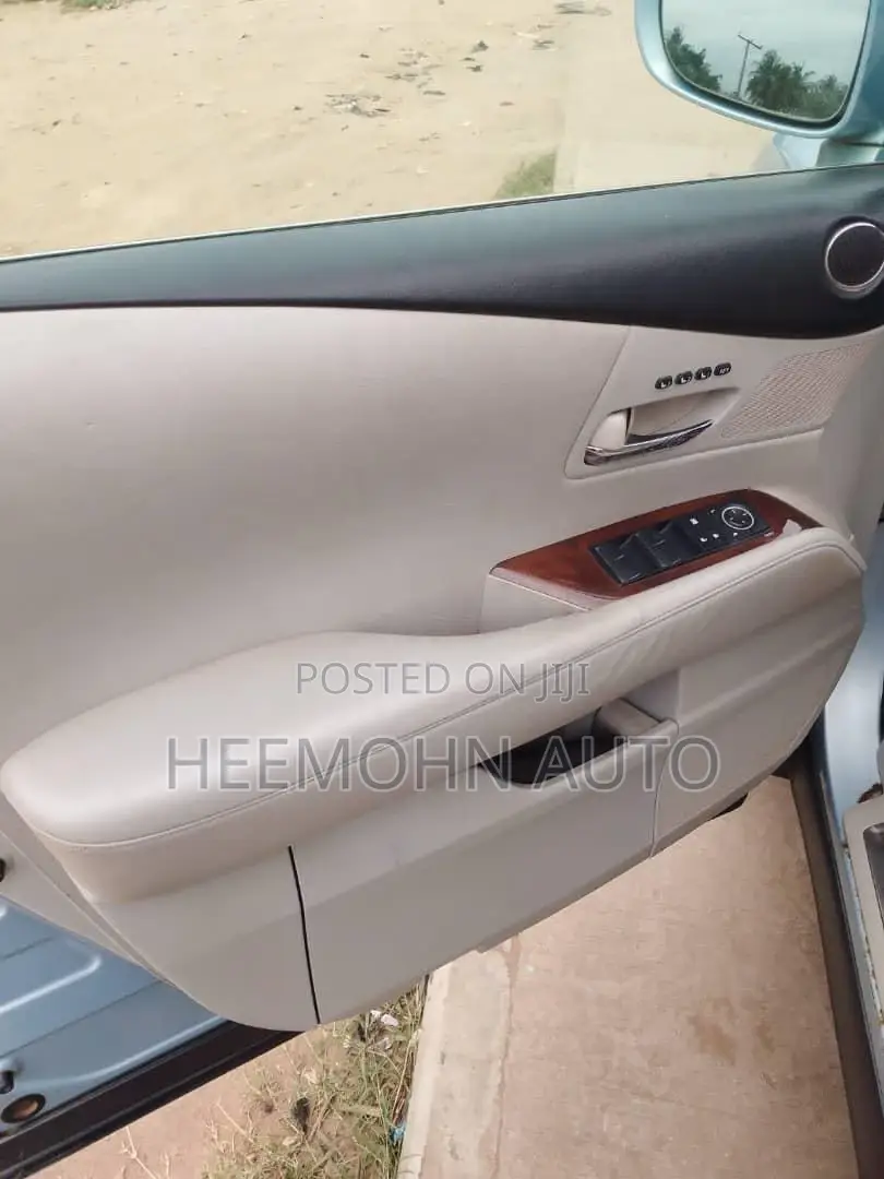 Lexus RX 2010 Blue