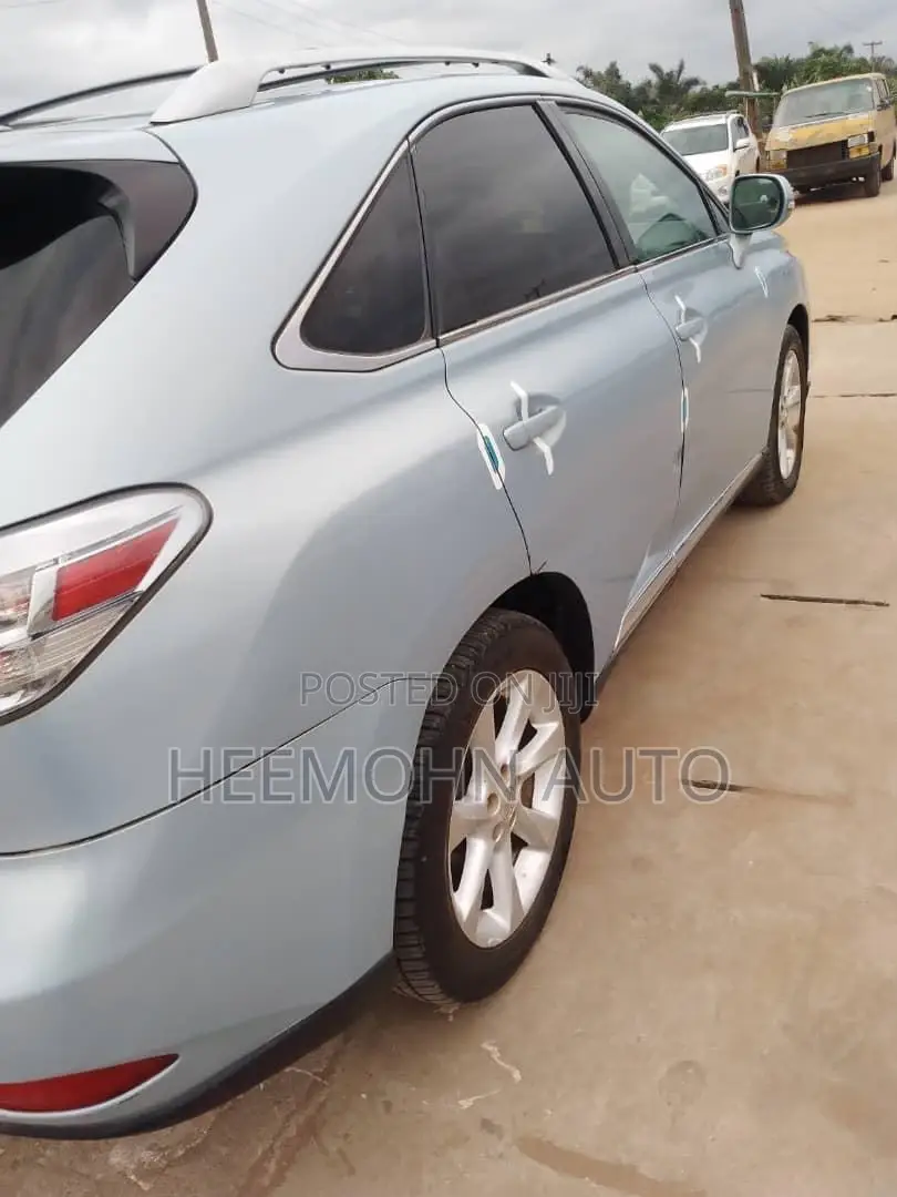 Lexus RX 2010 Blue