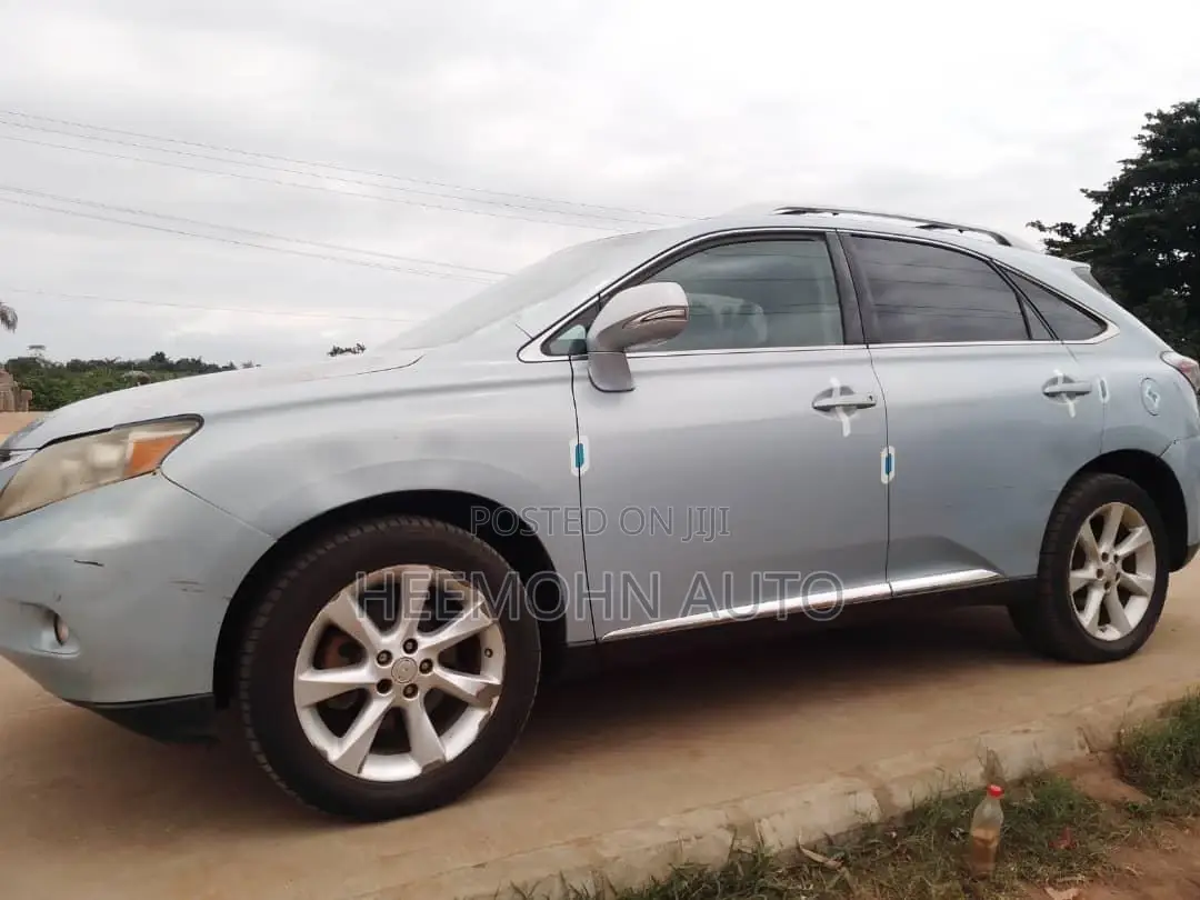 Lexus RX 2010 Blue