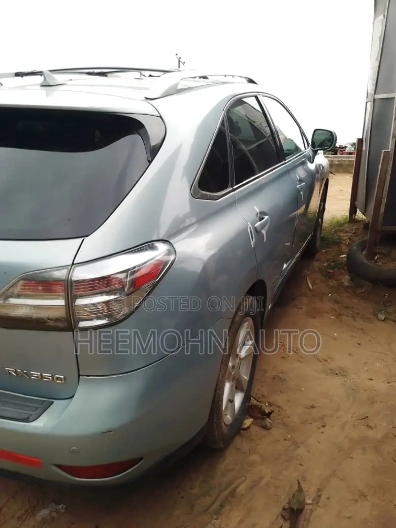 Lexus RX 2010 Blue
