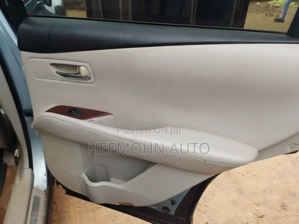 Lexus RX 2010 Blue