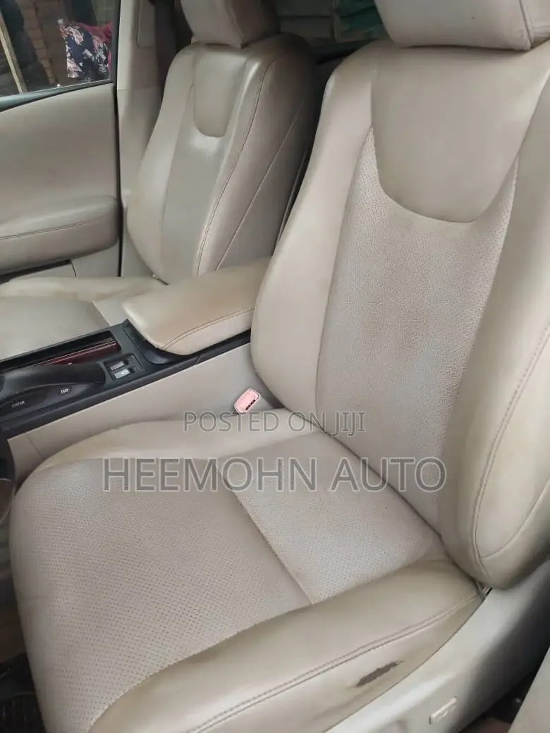 Lexus RX 2010 Blue
