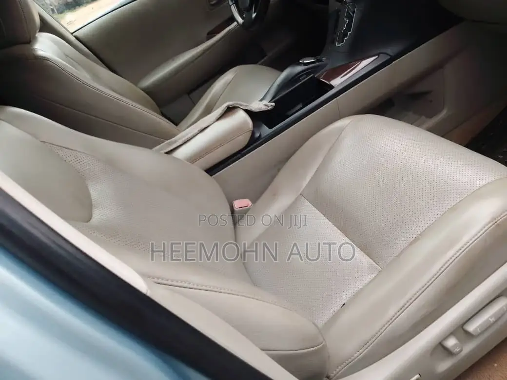 Lexus RX 2010 Blue