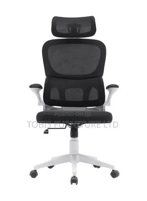 Ergonomic Mesh Office Chair With Headrest