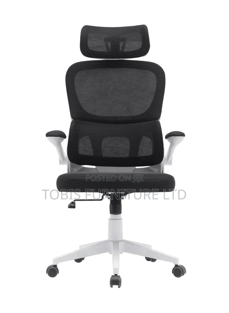 Ergonomic Mesh Office Chair With Headrest