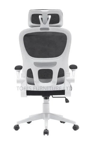Ergonomic Mesh Office Chair With Headrest