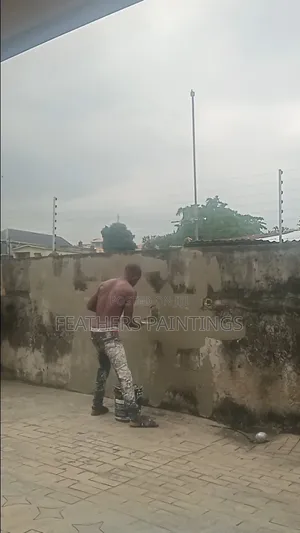 Exterior House Painting and Screeding in Lagos