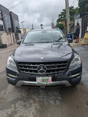 Mercedes-Benz M Class 2014 Gray