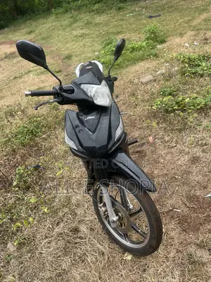Lifan 110cc 2025 Black
