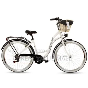 Fashionable City Bike