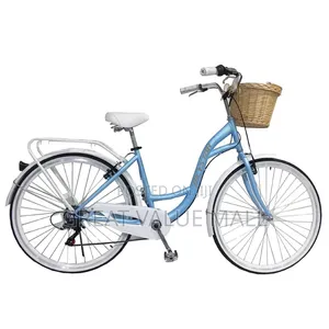 Fashionable City Bicycle