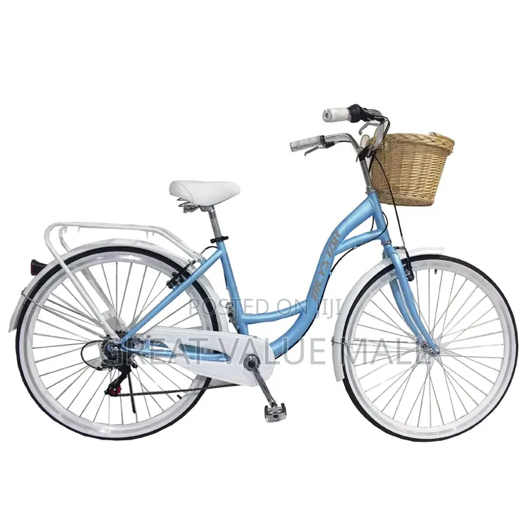 Fashionable City Bicycle