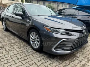 Toyota Camry LE 2021 Gray