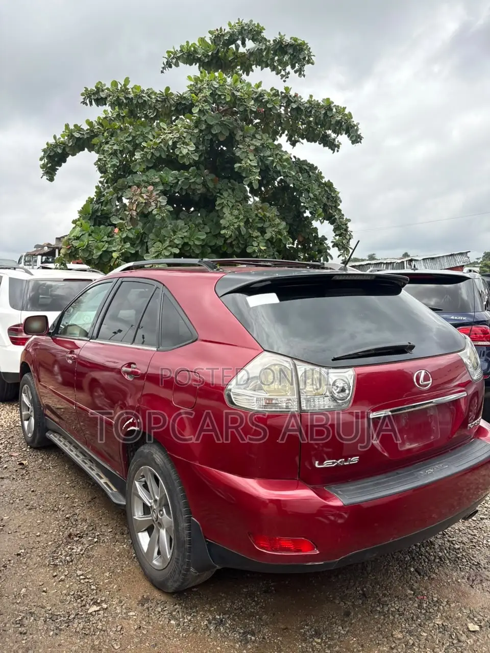 Lexus RX 330 2006 Red