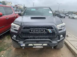Toyota Tacoma 2019 Gray
