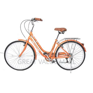 Professional Hybrid Bike