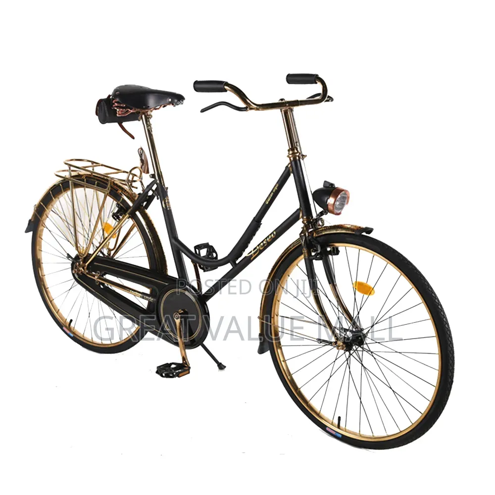Professional Hybrid Bicycle