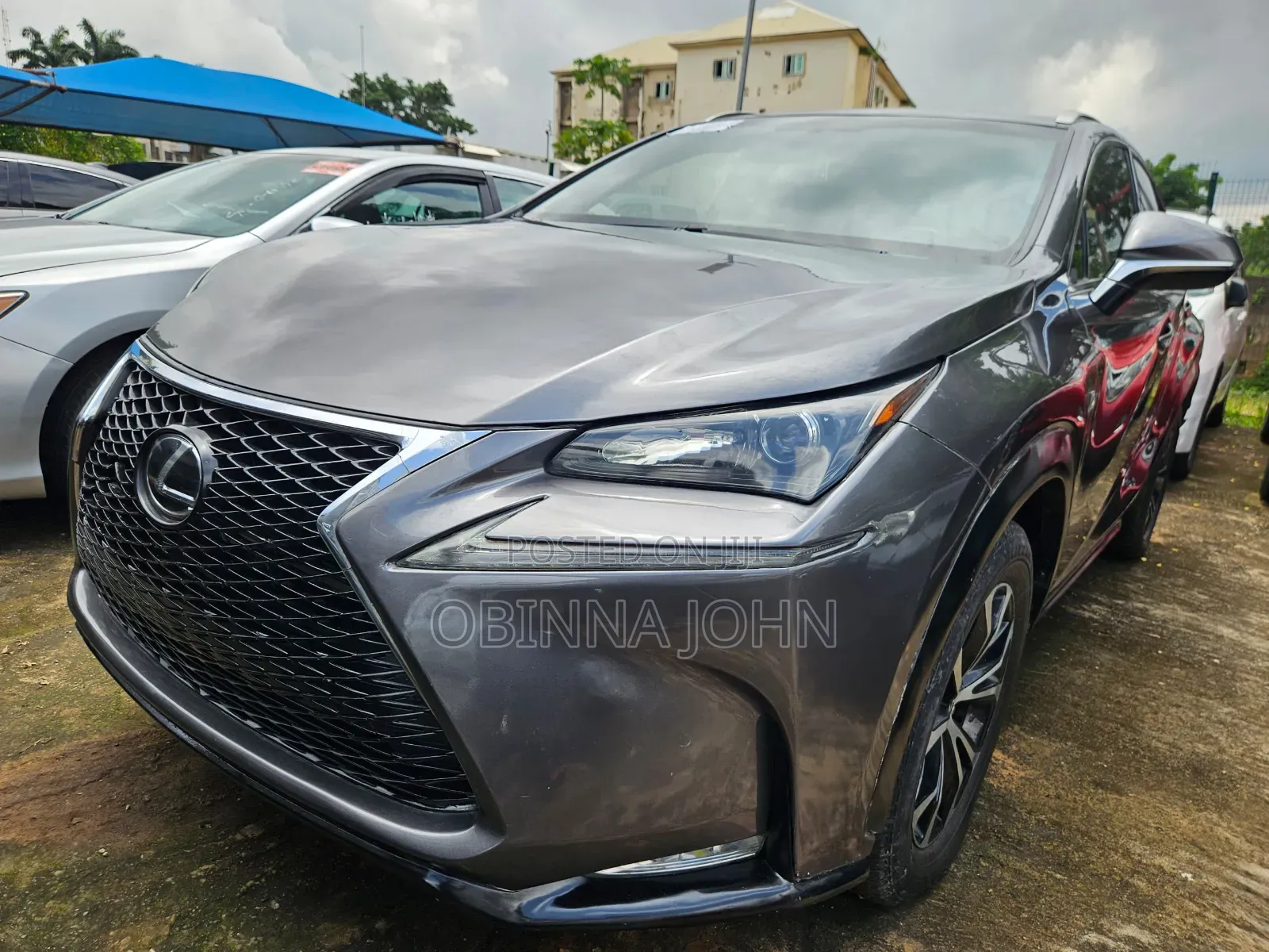 Lexus NX 2014 Gray