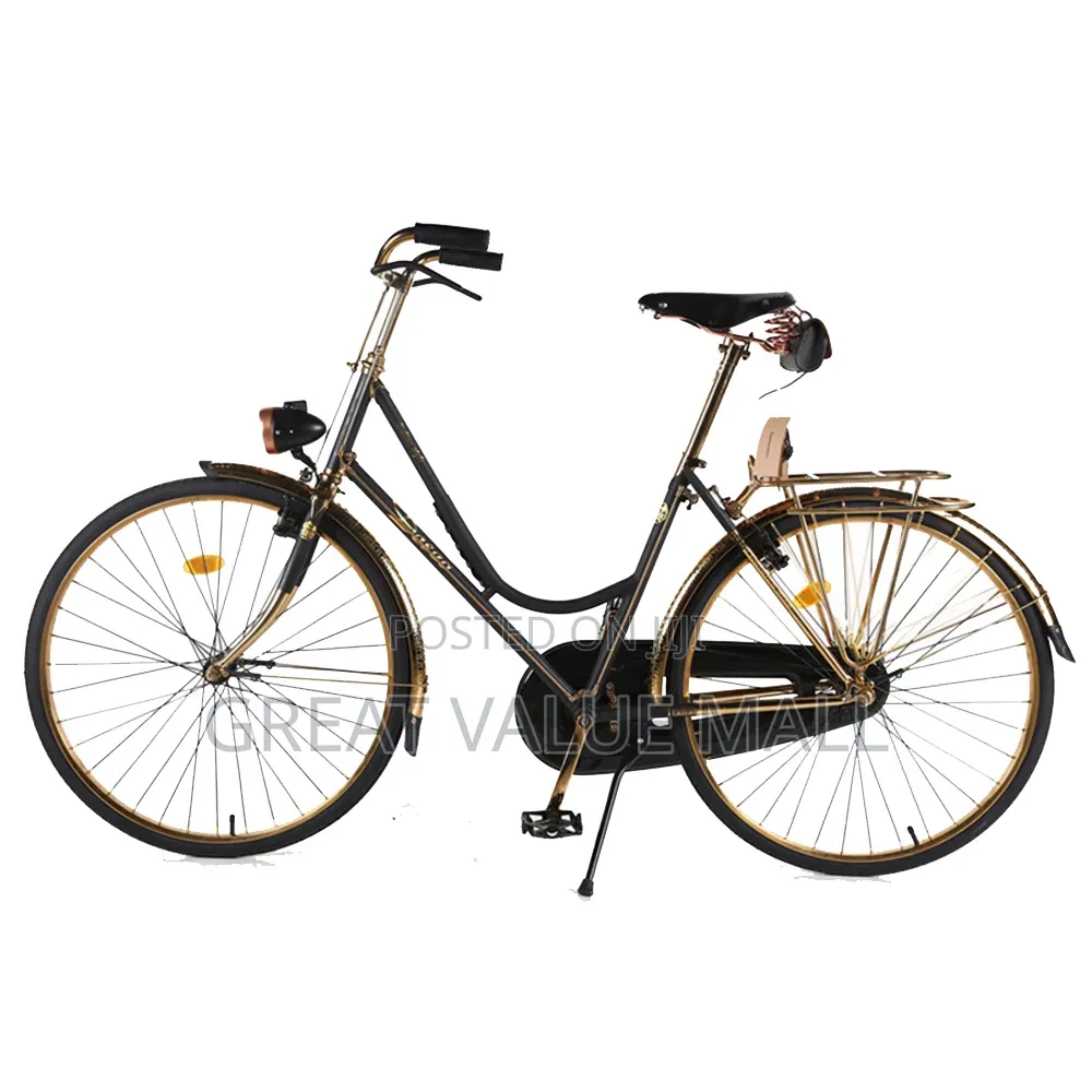 Professional Cycling Bike