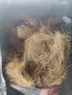 Treated Coconut Fiber