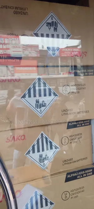 1kwh 300w Sako Solar Generator