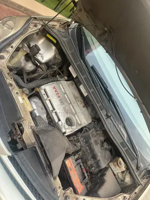 Toyota Sienna 2005 Gray