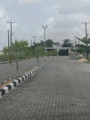 Executive 550 SQM Plot