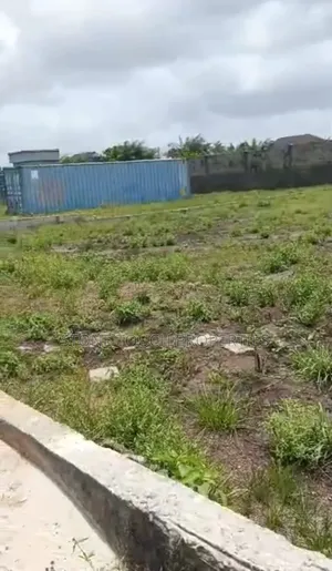 Executive 550 SQM Plot