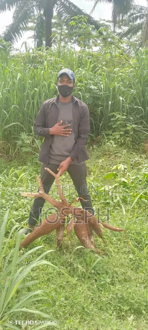Organic Fertiliser