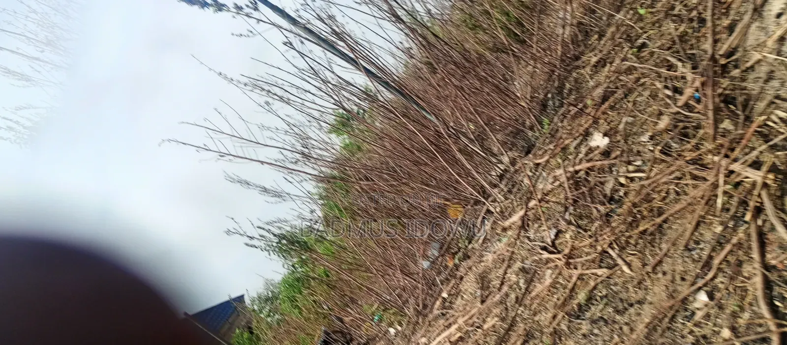 Land 100×100ft 2plot 6plots at Egbejila Area
