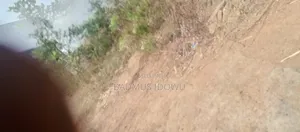 Land 100×100ft 2plot 6plots at Egbejila Area
