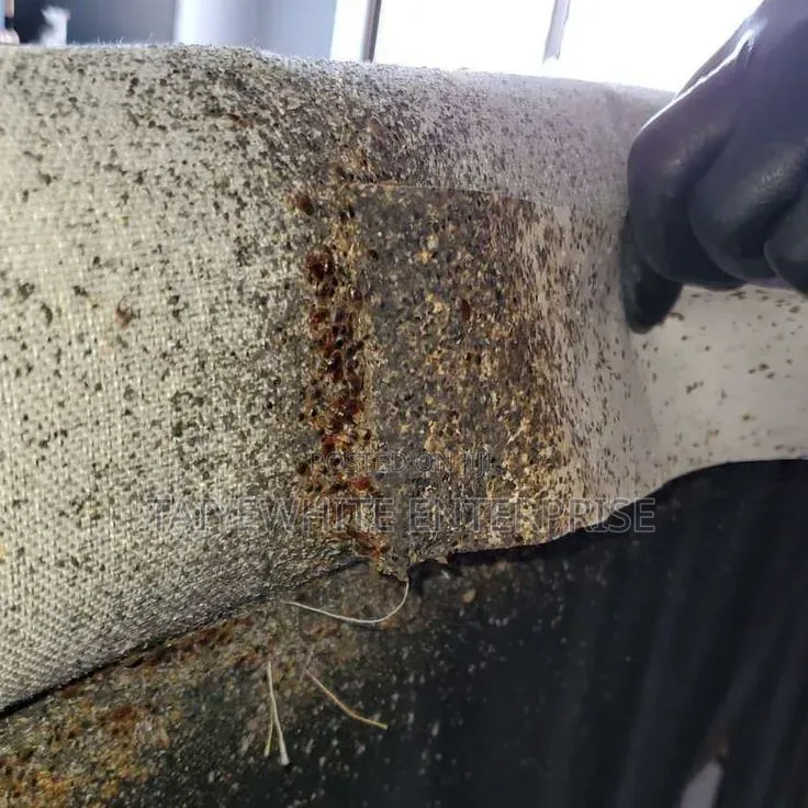 Bedbug Treatment Fumigation Service | Same Day Inspection