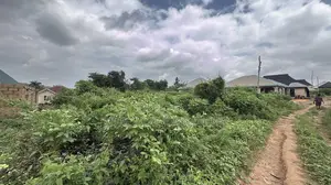 URGENT SALE: 1 Full Plot of Land at Oloshun Area, Apata, Ibadan