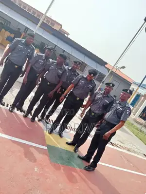 Spy Police