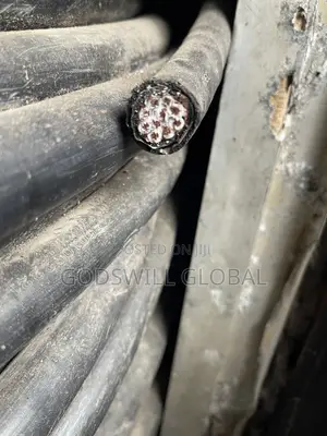 2.5mmx12core Amoured Cable