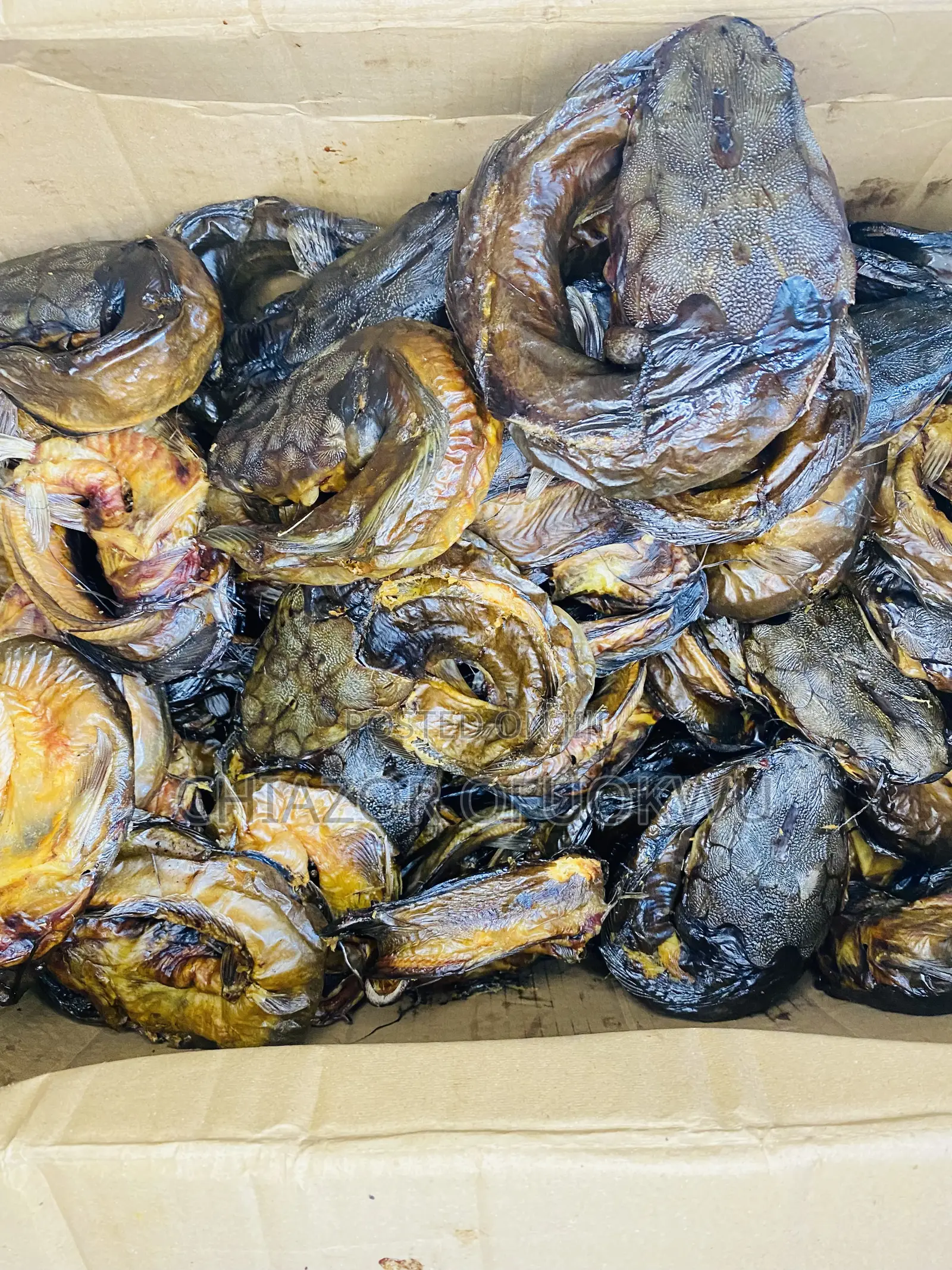 Dried Catfish