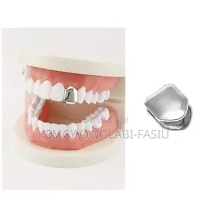 Non Tarnish Silver Teeth Grilz Removable
