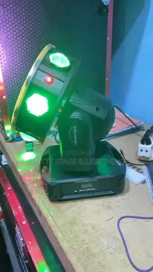 Gyro Swing Light