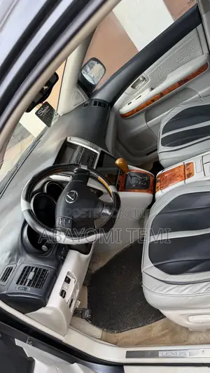 Lexus RX 330 AWD 2006 Gray