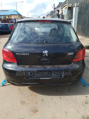 Peugeot 307 2005 Blue