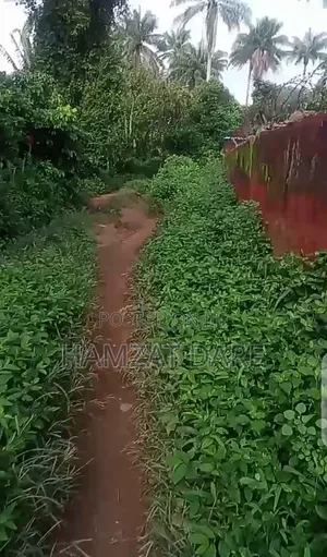 Four Plots of Land for Sale, at Ariori. 8min Drive From Ilaji Resort.