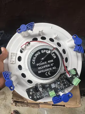 40wt Ceiling Speaker