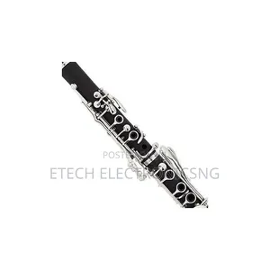 Yamaha Professional Clarinet With Complete Accessories