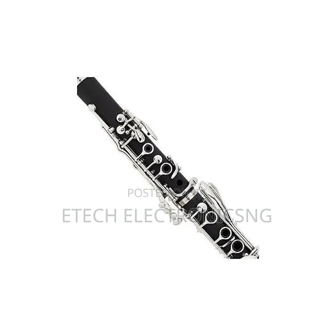 Yamaha Professional Clarinet With Complete Accessories