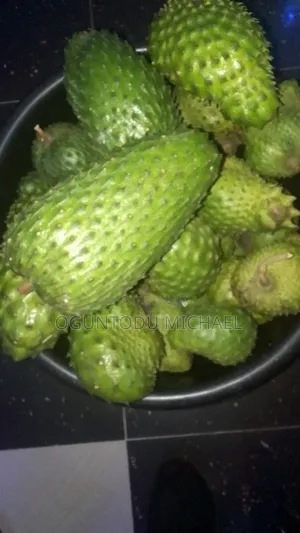 Custard Apple Available for Delivery