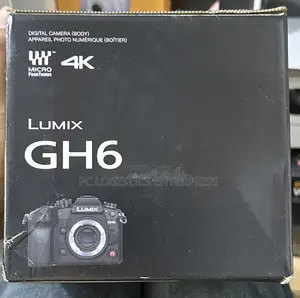 Panasonic Lumix GH6